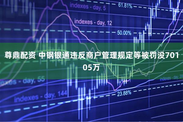 尊鼎配资 中钢银通违反商户管理规定等被罚没70105万